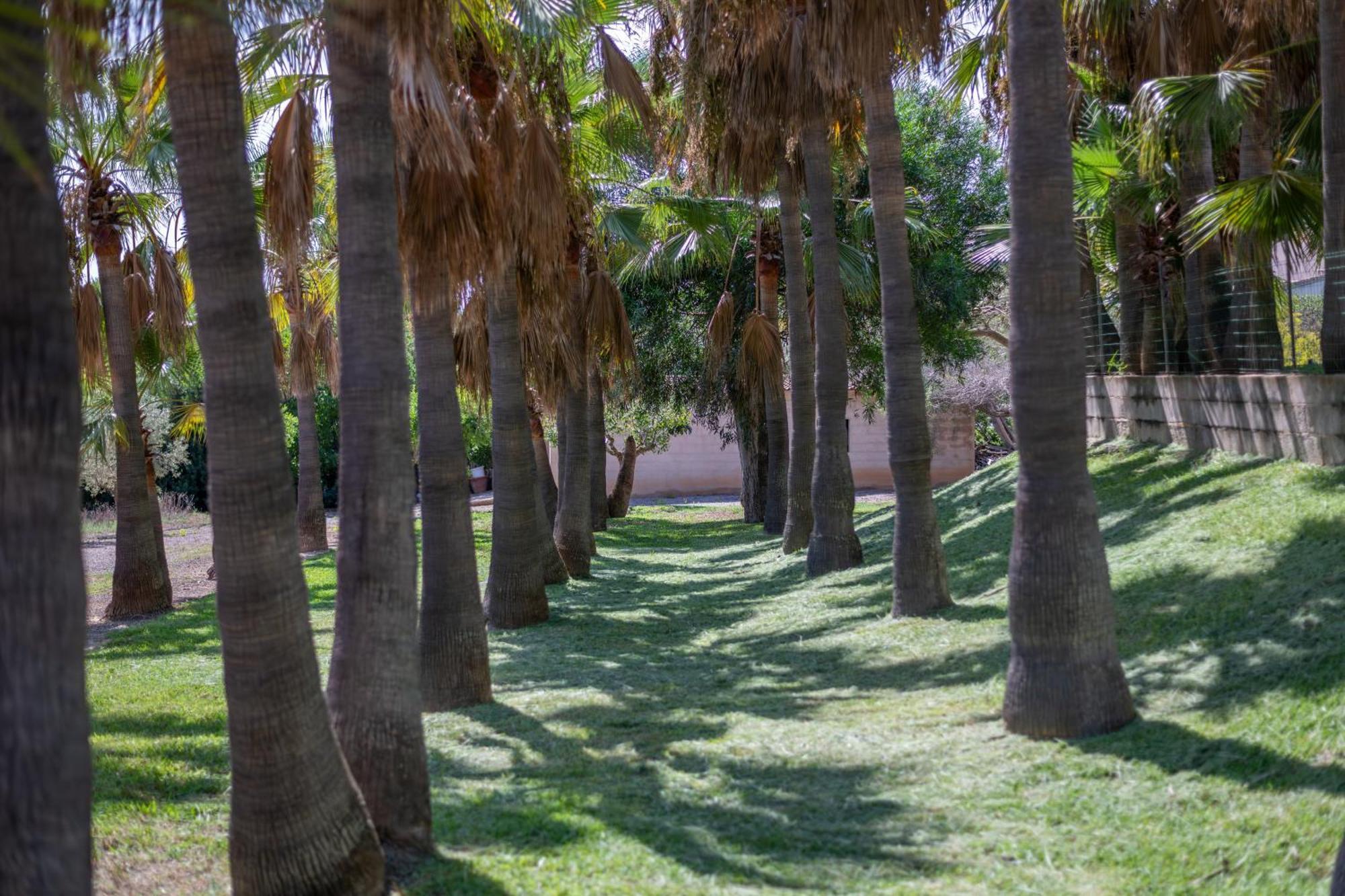 Fina Villa